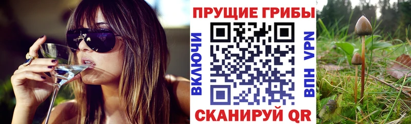 Галлюциногенные грибы MAGIC MUSHROOMS  Купить где  Мариинский Посад 